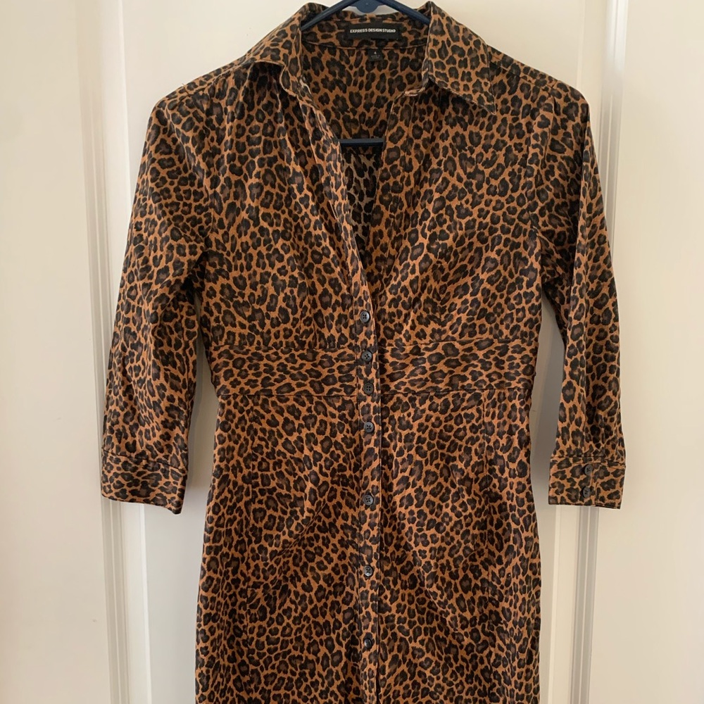 Women’s express design button up dress